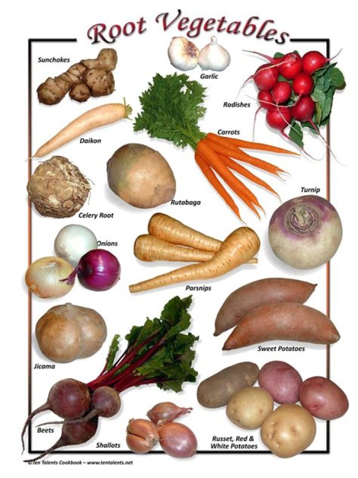 Essential List of Root Vegetables PDF: Nutritious & Easy to Grow