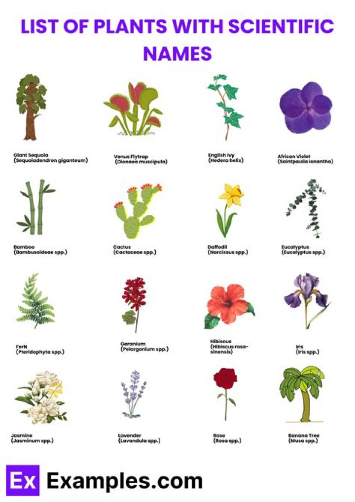 Free Scientific Names of Plants and Animals PDF List