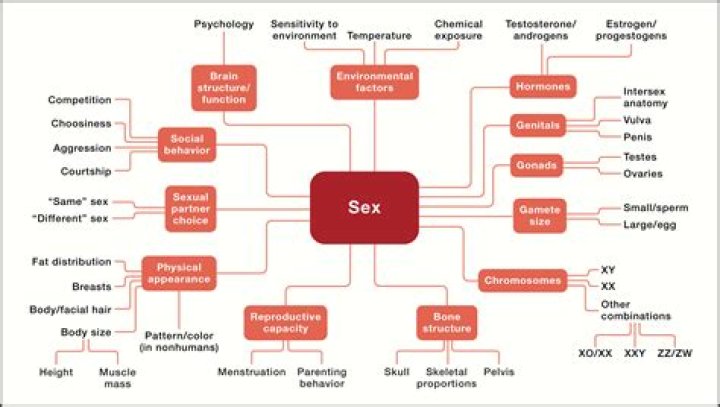 Top List of Sexology Books PDF for Comprehensive Study
