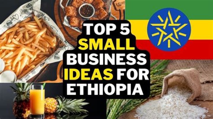 Top 20 Small Business Ideas in Ethiopia PDF Guide