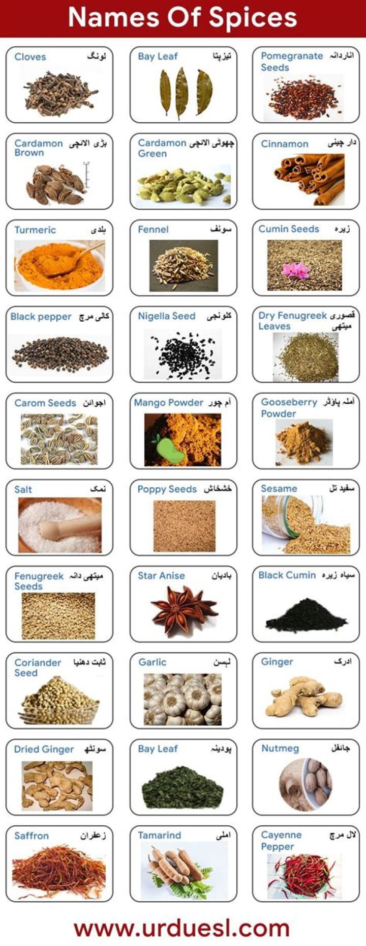 Complete List of Spices PDF: Essential Herbs & Seasonings for Every Kitchen