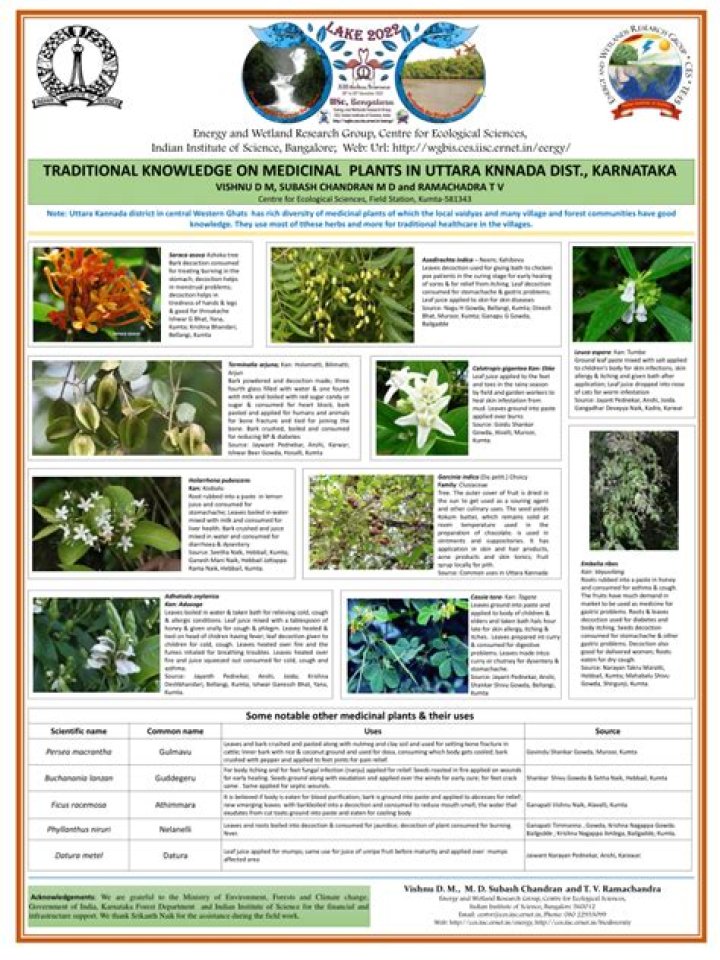 List of Traditional Medicinal Plants in Zimbabwe – PDF Guide