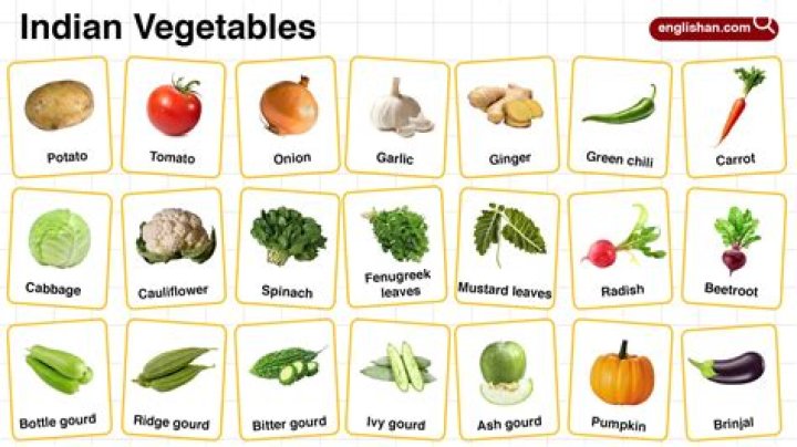 Complete List of Vegetables in India – PDF Guide