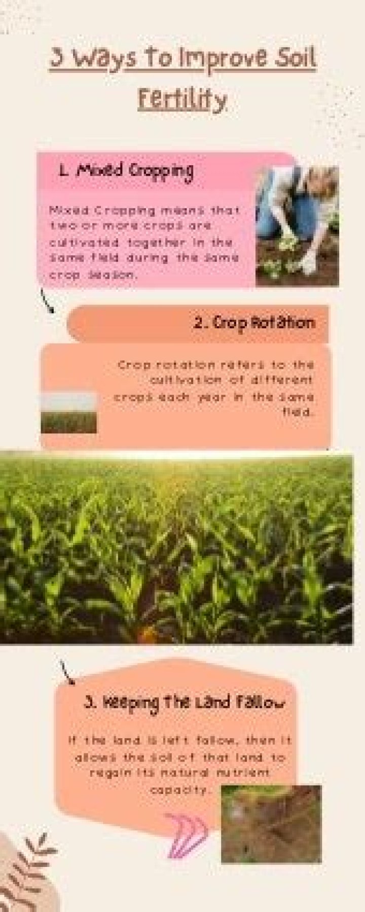 10 Proven Ways to Improve Soil Fertility – PDF Guide