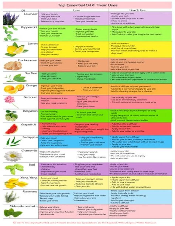 Lista de Õleos Essenciais e Suas Funções PDF – Guia Completo