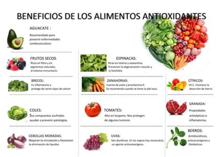 Lista de Alimentos Antioxidantes PDF – Combate el Daño Celular Natural