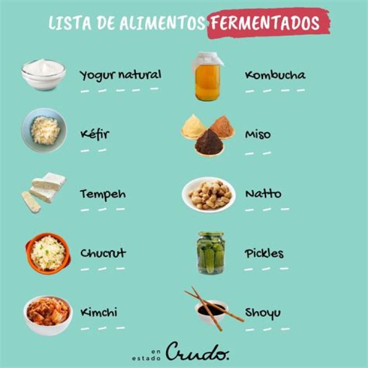 Lista de Alimentos Fermentados PDF: Guía Completa para Beneficios Naturales