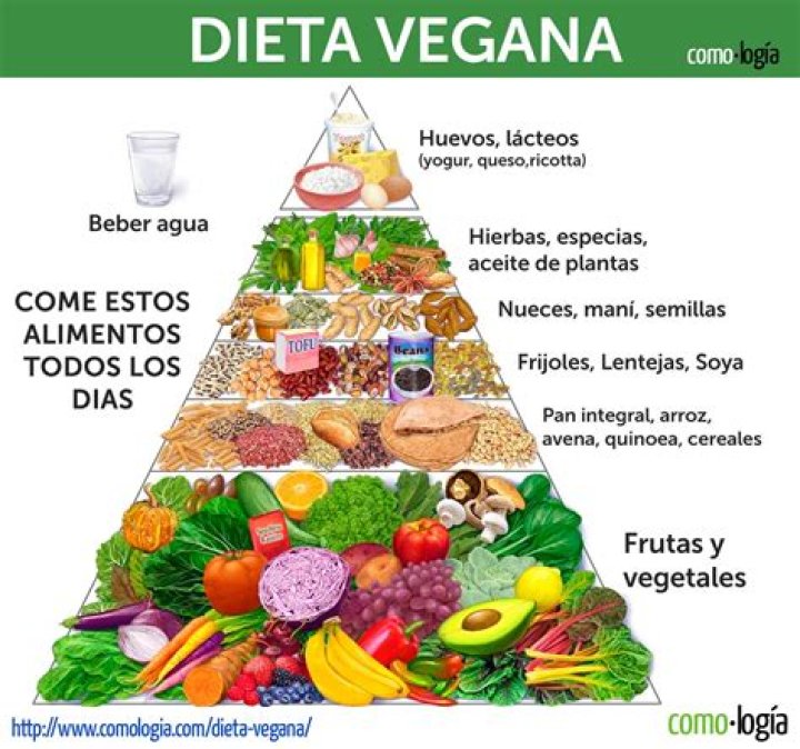 Lista Completa de Alimentos Veganos PDF: Guía Definitiva