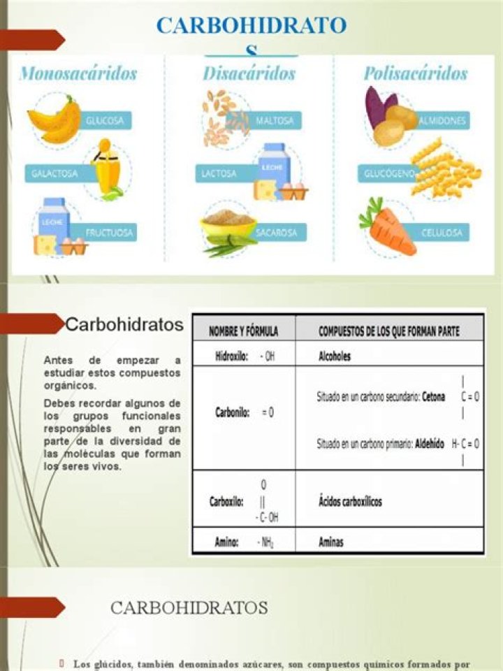 Lista de Carbohidratos PDF: Guía Completa para Controlar Tus Carbohidratos