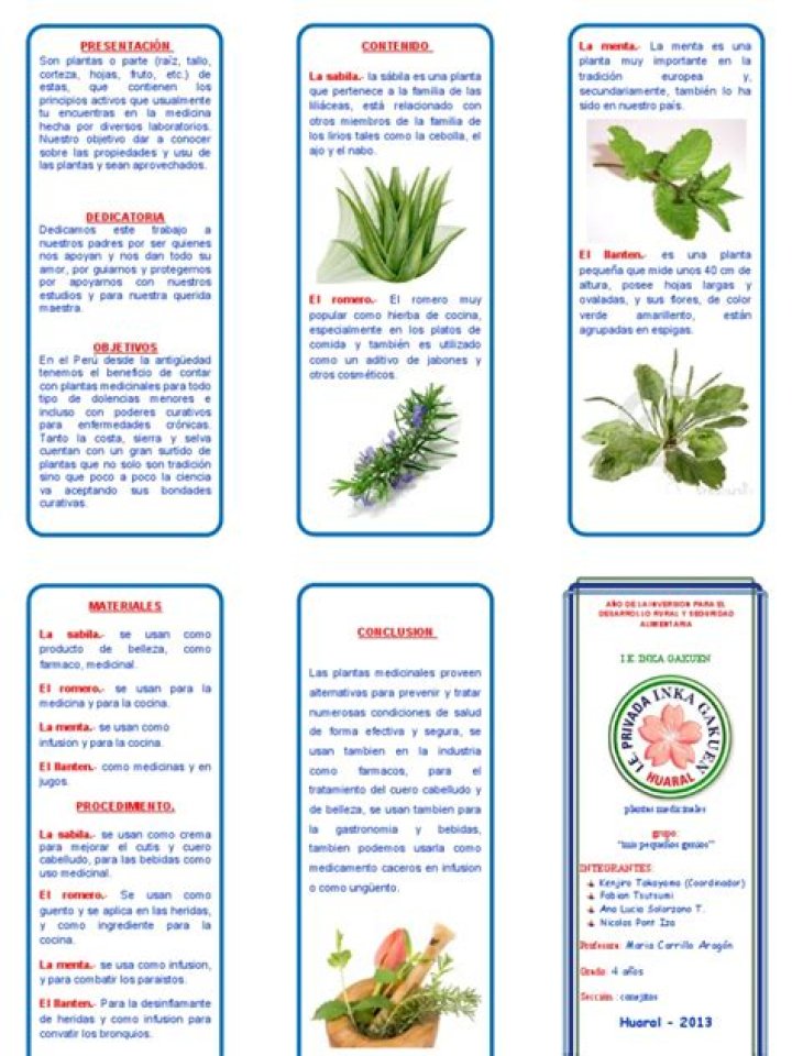 Lista de Plantas Medicinales PDF: Guía Completa para Curación Natural