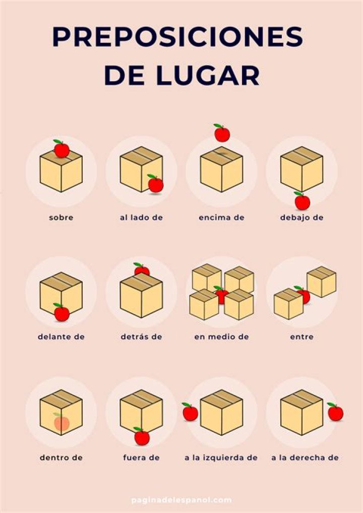 Lista de Preposiciones en Inglés y Español PDF – Aprende Rápido