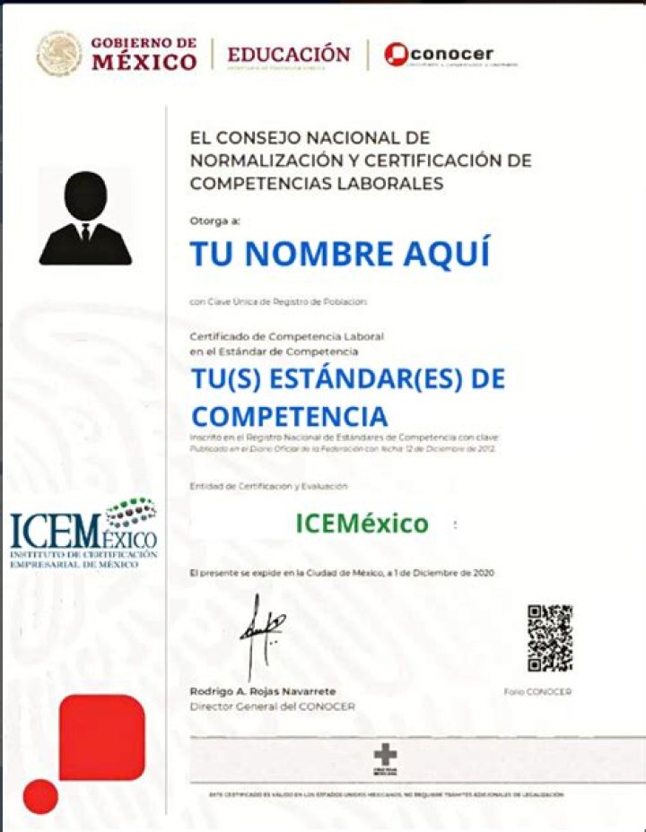 Lista de Estándares de Competencia: Conoce PDF Gratuito
