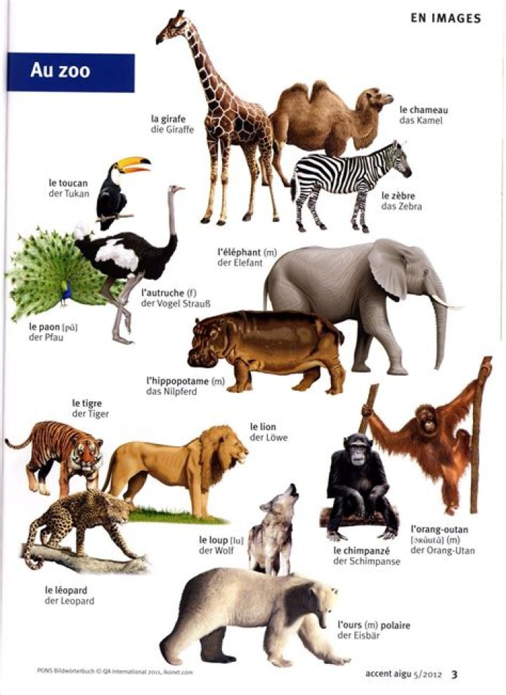 Liste complète de tous les animaux du monde avec photos PDF