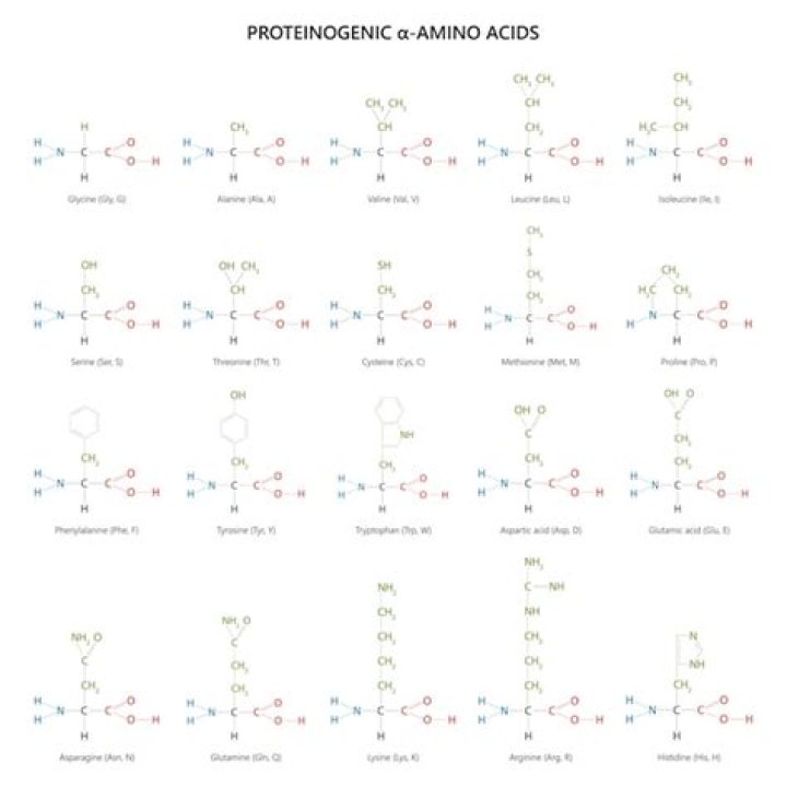 Liste des acides PDF : Guide complet des acides chimiques