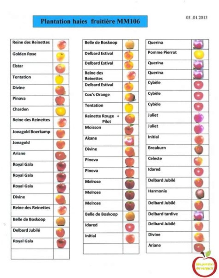 Liste complète des arbres fruitiers PDF – Guide pratique