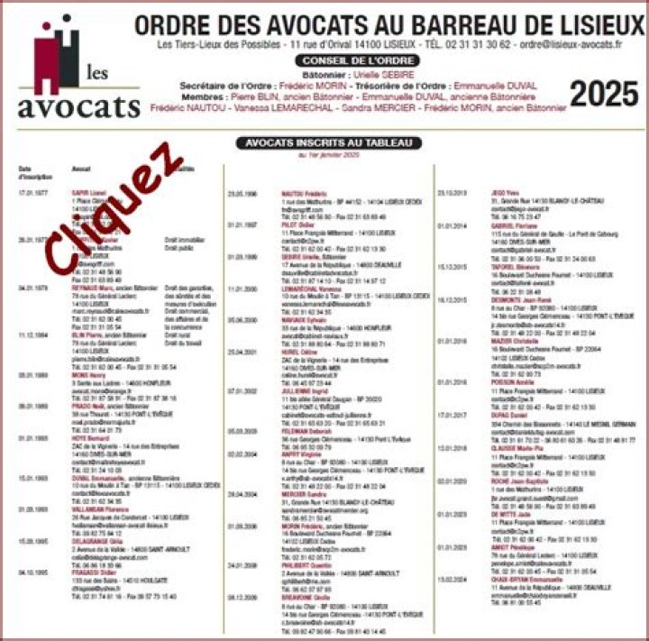 Liste des avocats du Togo : PDF Gratuit pour Accéder à la Liste Complète