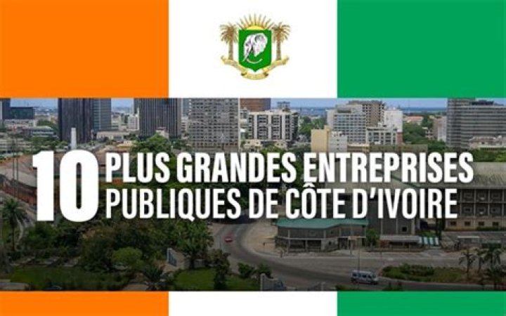 Liste des Entreprises Ivoiriennes par Secteur d'Activité PDF