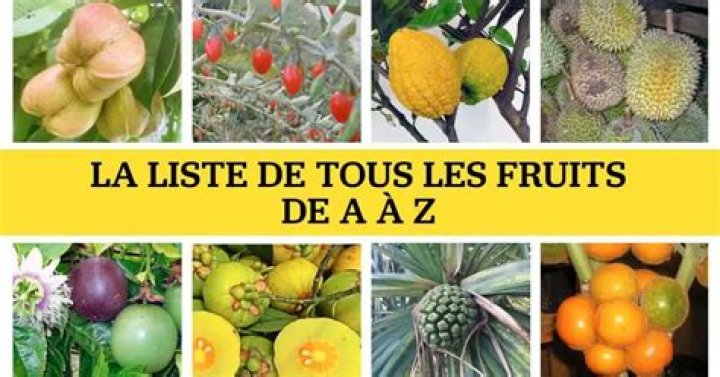 Liste complète des fruits de A à Z en PDF téléchargeable