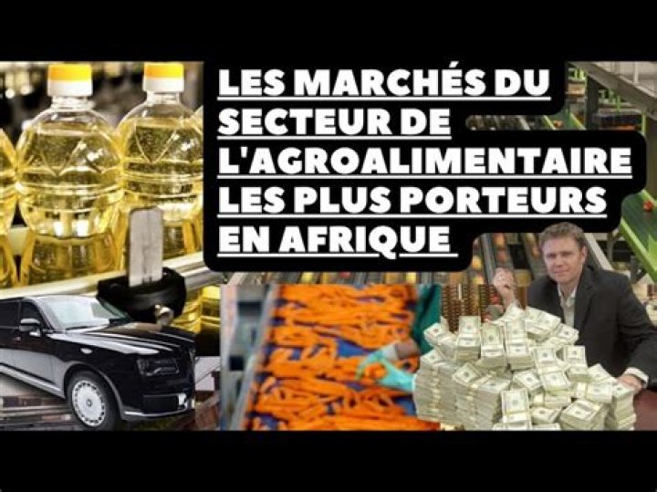 Liste des Industries Agroalimentaires au Cameroun - PDF Complet