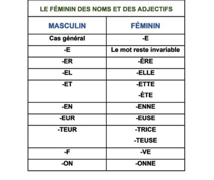 Liste Complète des Mots Féminin et Masculin PDF Gratuite