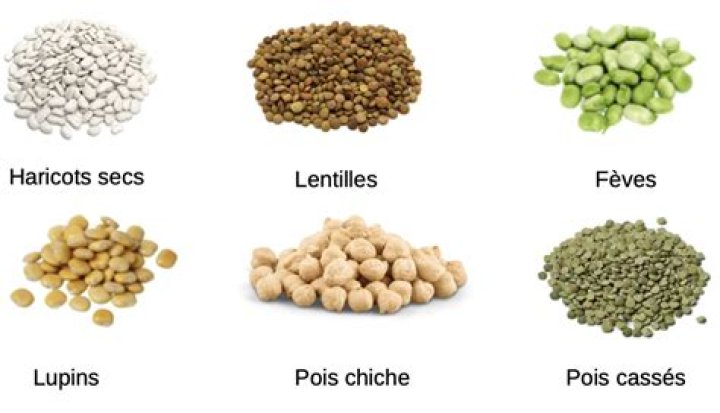 Liste légumineuses et céréales PDF – Guide complet