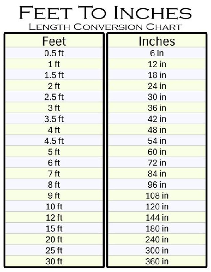 Lito Lapid's Height Conversion: Feet Revealed