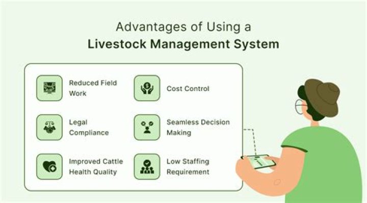 Livestock Management System PDF: Optimize Your Farm Operations