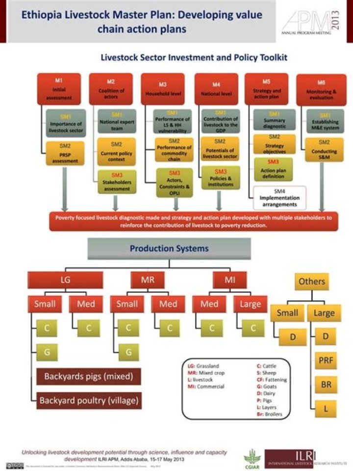 Livestock Master Plan Ethiopia: Comprehensive PDF Guide