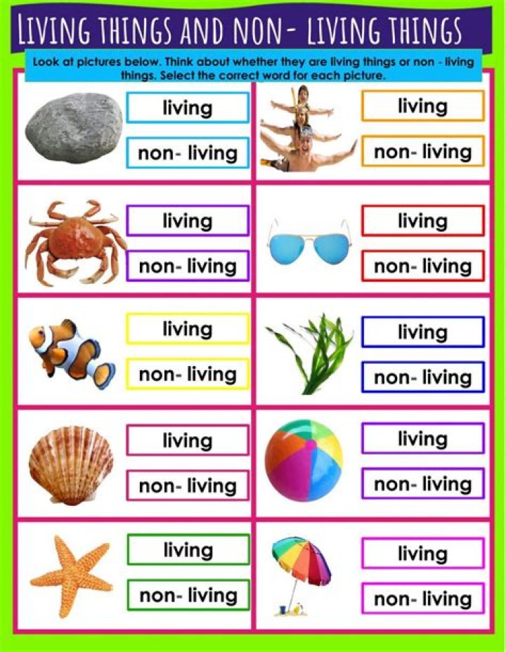 Living on Your Own: Essential Worksheets PDF Guide