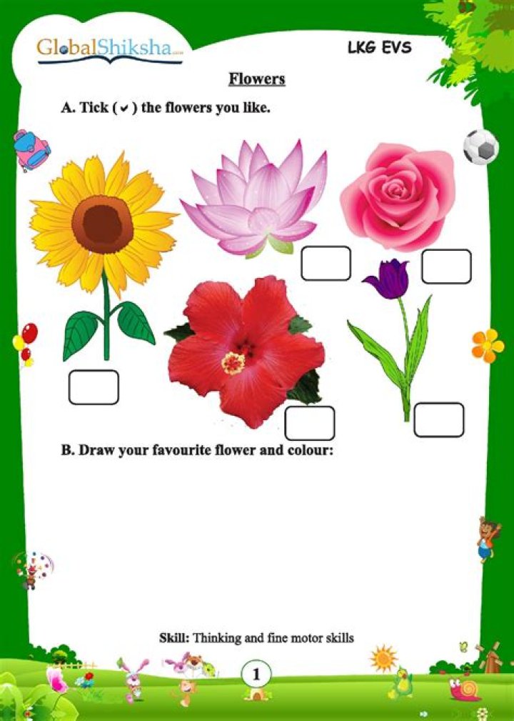 LKG CBSE Worksheets PDF Free Download – Instant Printable Worksheets