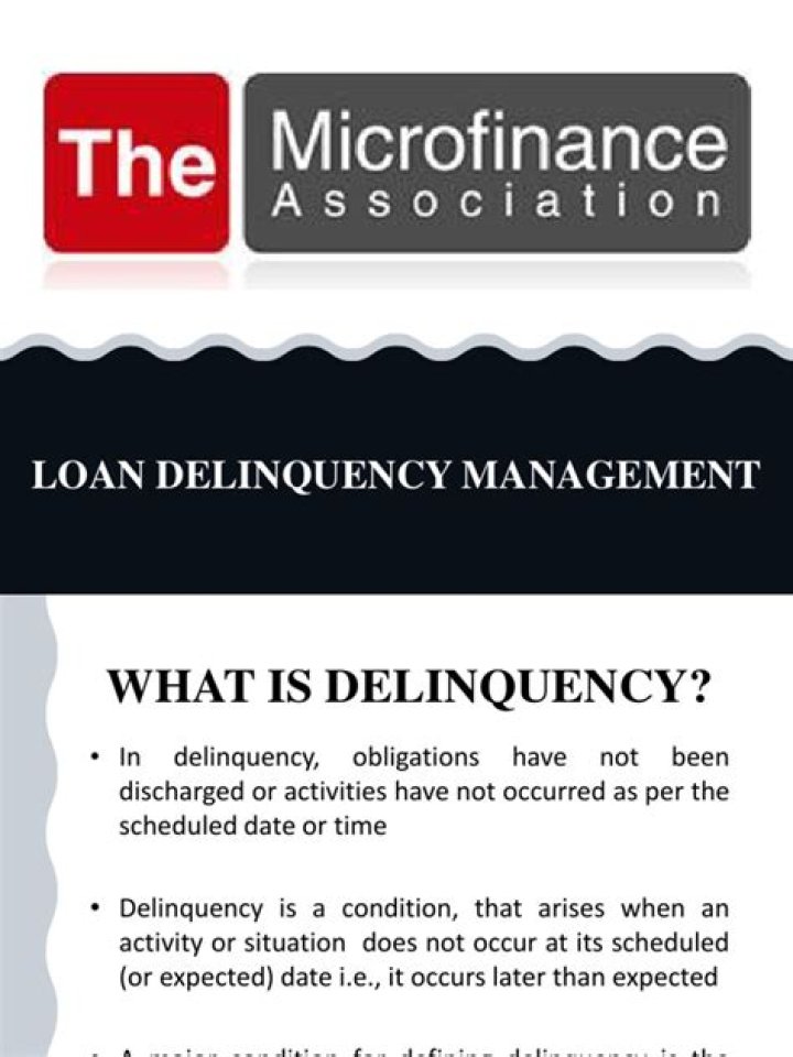 Effective Loan Delinquency Management PDF Guide