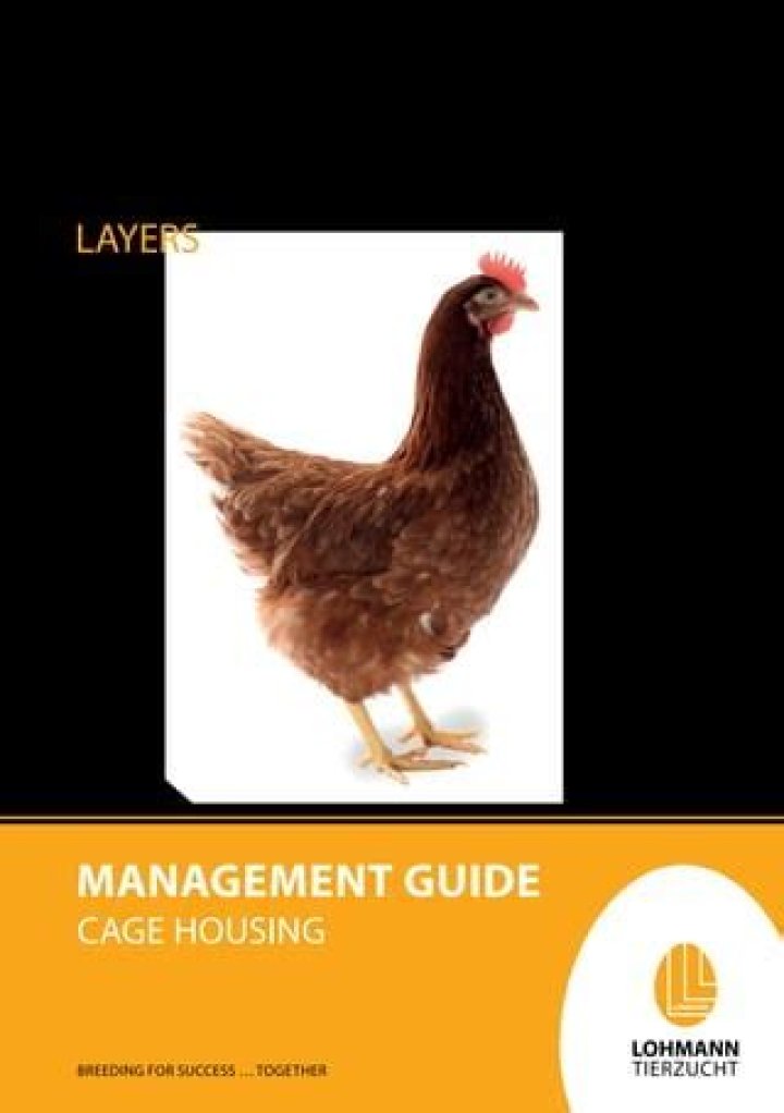 Lohmann White Layer Management Guide PDF: Master Efficient Layer Care