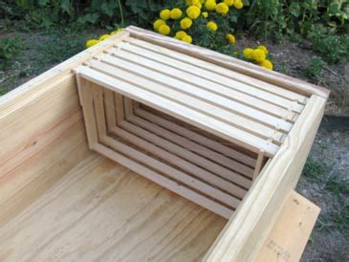 Free Download Long Langstroth Hive Plans PDF – Instant Gardener Guide