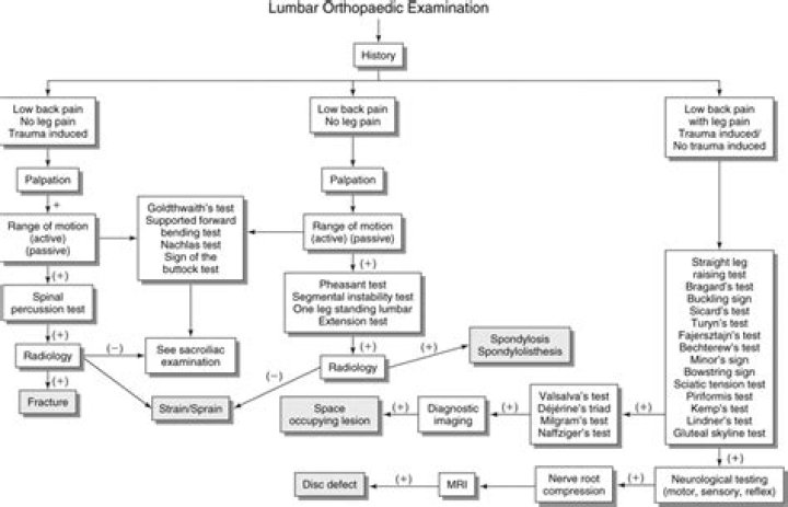 Lumbar Orthopedic Tests PDF: Accurate Diagnosis & Treatment Guide