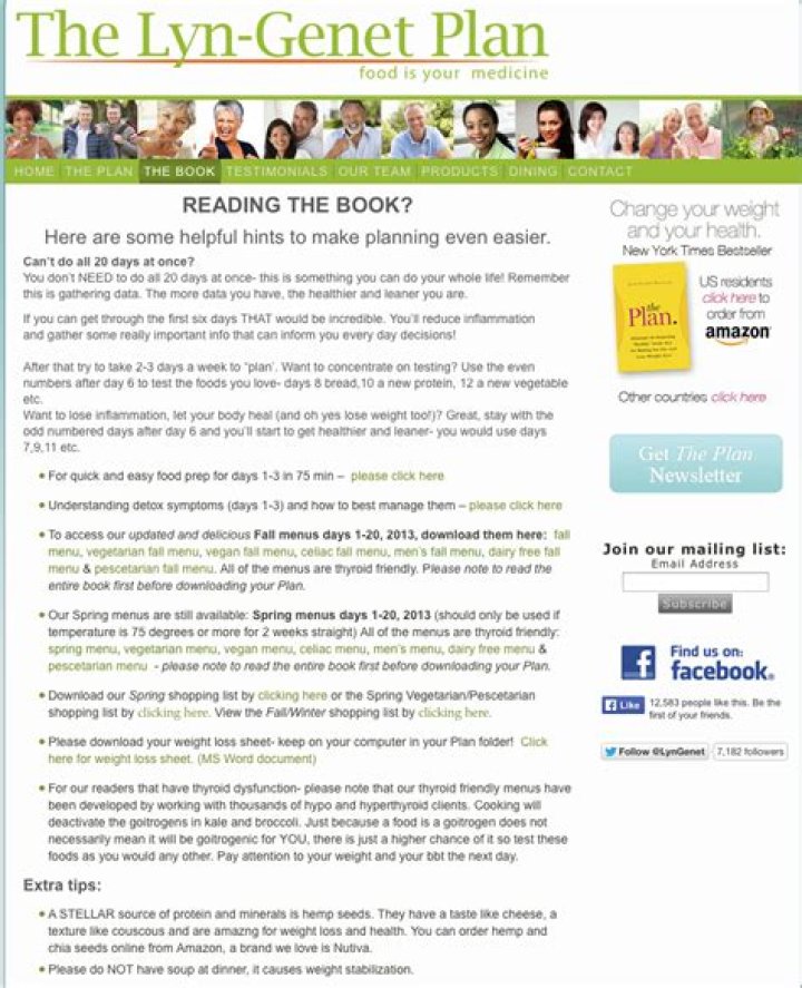 Lyn Genet’s Official Plan PDF: How to Implement the Strategy