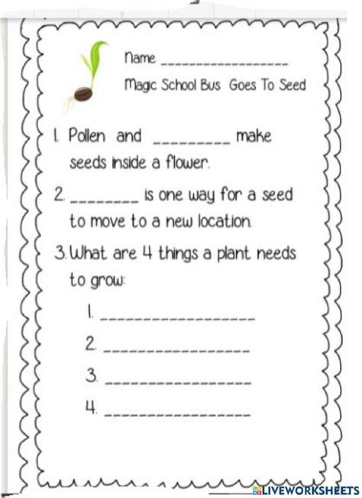Free Magic School Bus Worksheets PDF – Download Instant Fun Science Printables