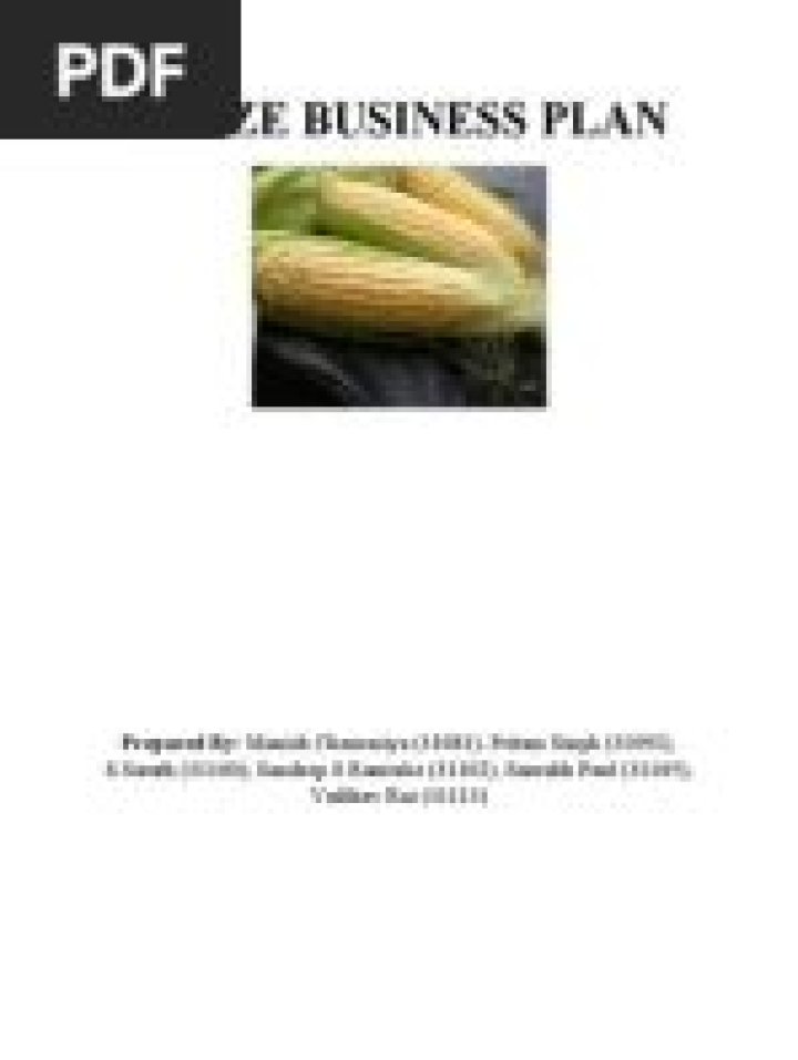 Comprehensive Maize Farming Business Plan PDF: Grow Profits Efficiently