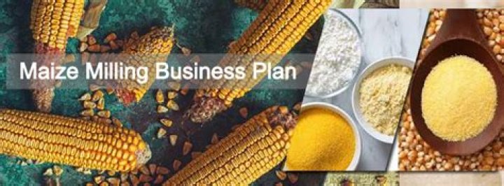 Complete Maize Flour Milling Business Plan PDF for Profitable Startup