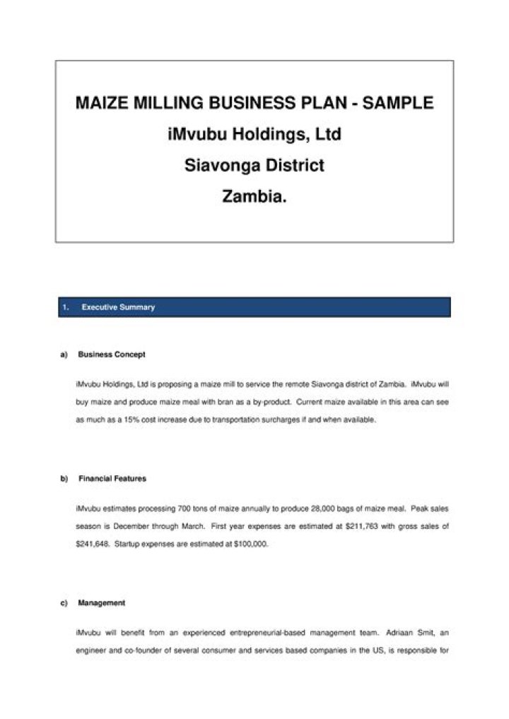 Full Maize Milling Business Plan PDF for Profitable Startup