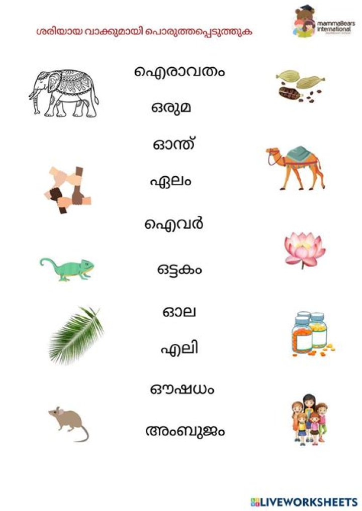 Malayalam Worksheet for Class 1 PDF – Free Downloadable Practice Sheets