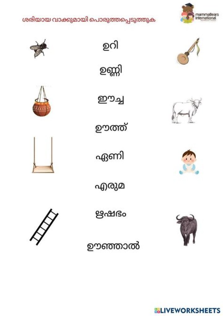 Malayalam Worksheet for LKG PDF – Free Printable Worksheets