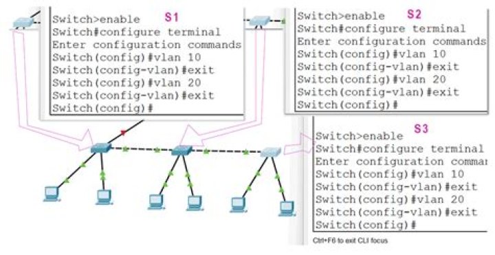 Master Managed Switch Configuration: Step-by-Step PDF Guide