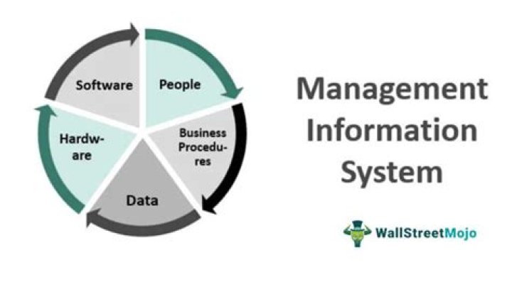 Mastering Management and Information Systems: Comprehensive PDF Guide