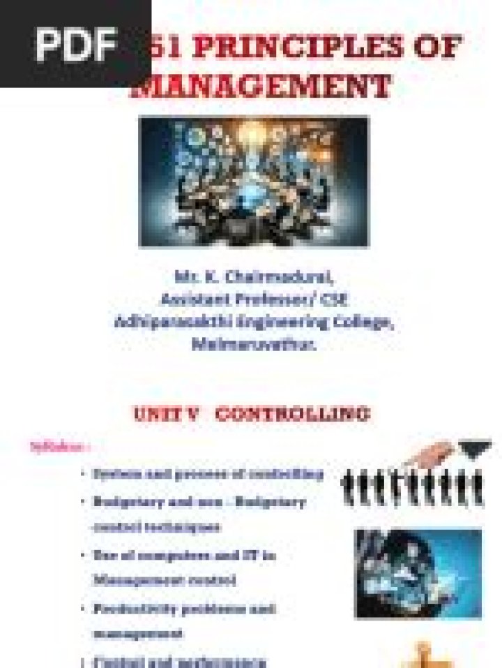 Effective Management Control Process PDF for Business Success
