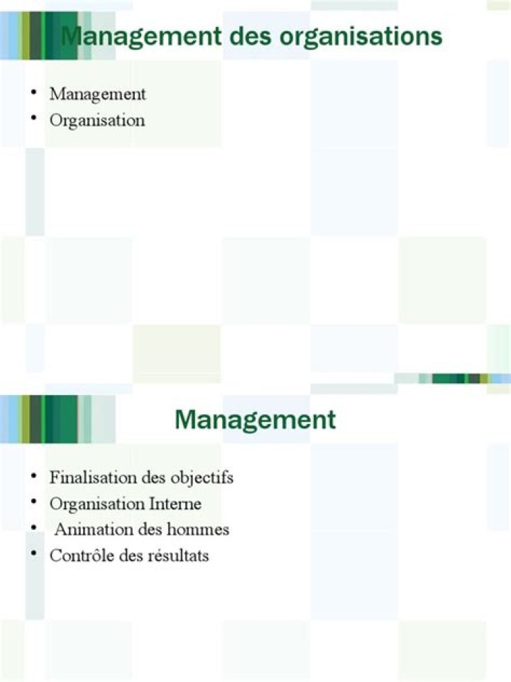 Gestion des organisations pdf : Guide complet pour diriger efficacement