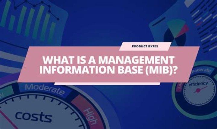 Management Information Base PDF: Complete Guide & Best Practices
