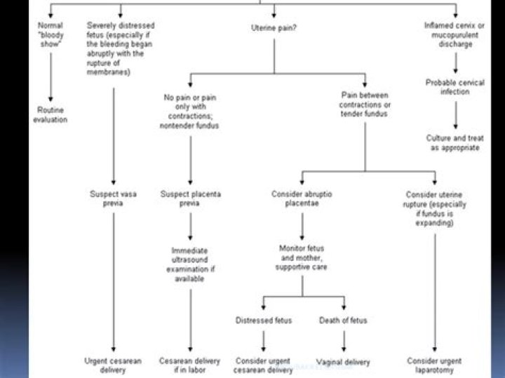Comprehensive Guide to Management of Antepartum Hemorrhage PDF