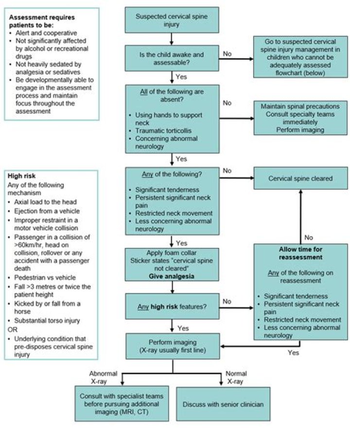 Comprehensive Management of Cervical Spine Injury PDF Guide