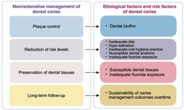 Comprehensive Management of Dental Caries PDF Guide
