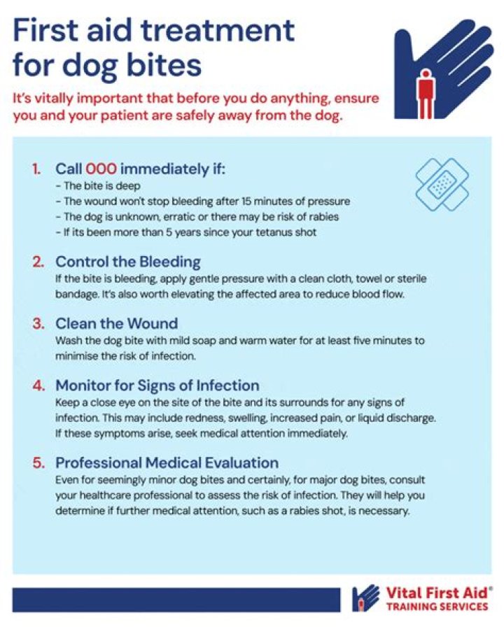 Effective Management of Dog Bites: Essential PDF Guide
